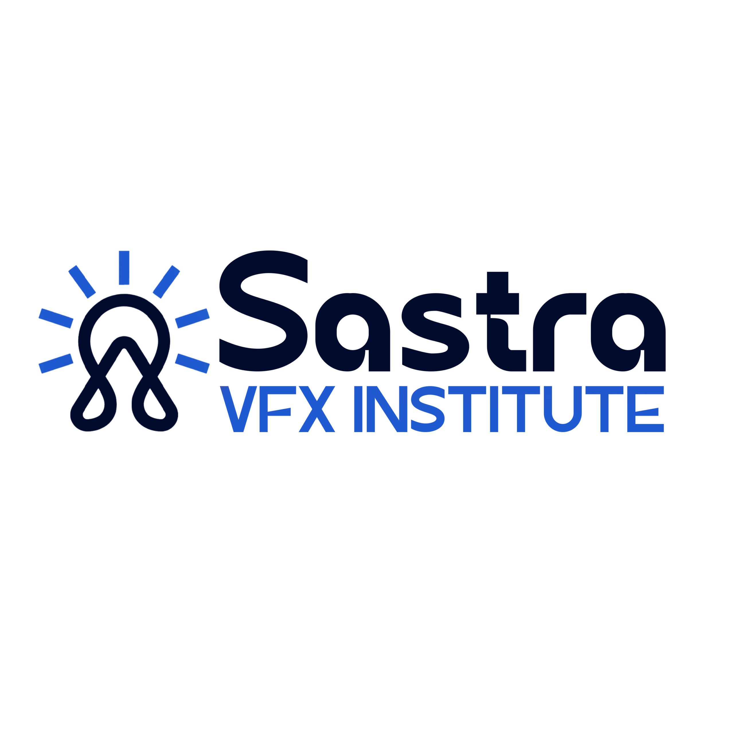 Sastra Vfx Institute